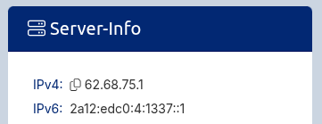 Karte Server-Info mit IP-Adresse und Admin-Passwort
