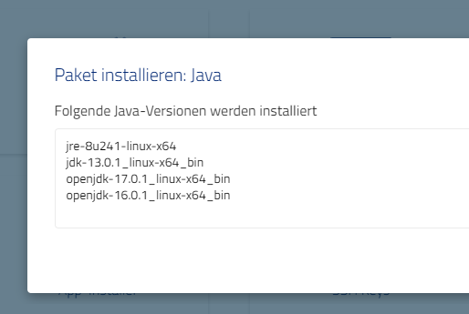 Cloud Manager: Java-Pakete installieren