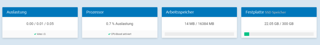 Auslastung im Webinterface Auslastung im Webinterface